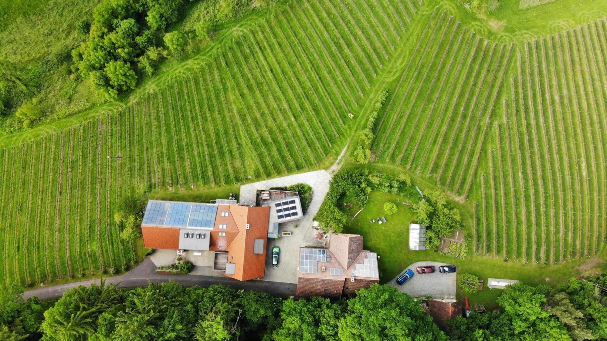 Weingut Spitzypeitler Acomodação com café da manhã Leutschach Exterior foto